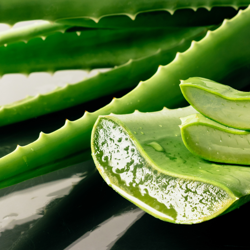 Aloes vera: Naturalna pielgnacja dla caego ciaa od wewntrz i na zewntrz